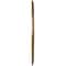Ekena Millwork Baltimore PVC Medallion (Canopies up to 7 3/4"), 19"OD x 3 1/2"ID x 1"P, Metallic Champagne Bronze CMP19BACCB - alternate 2